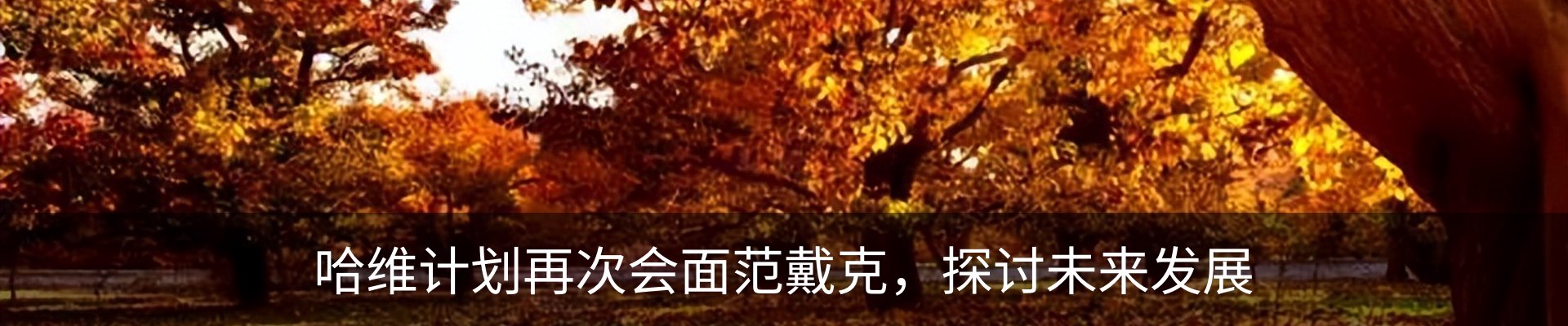 新闻中心